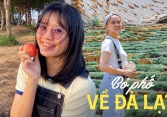 Bỏ phố về Đà Lạt: Từng làm ngân hàng 7 năm cũng không tìm được việc, lương thấp nhưng chi phí sinh hoạt không hề rẻ 