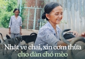 Chuyện bà Tuyết ve chai 26 năm nuôi đàn chó mèo bị bỏ rơi ở TP.HCM: 'Đau lòng khi bị trộm bắt đem bán…'