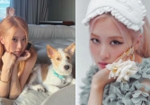 Qua một động thái, YG tự mình xác nhận Rosé là thành viên BLACKPINK duy nhất tái ký?