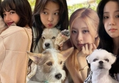 BLACKPINK chiều thú cưng đến mức nào: Cún nhà Jennie đi dạo phố bằng xe đẩy, cún của Rosé có túi xách hơn 3000 đô