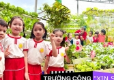 Mê mẩn vườn rau, khu vui chơi trên sân thượng của một trường mầm non công lập: Không gian xanh mướt, rau củ không thiếu gì