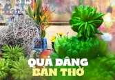Lý do đặc biệt khiến nhiều người bày phật thủ trên bàn thờ ngày Tết