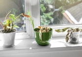 Bốn thứ để trước cửa sẽ xua đuổi Thần Tài vào nhà, có thứ quen thuộc mà chẳng mấy ai để ý