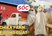 Chika Farm Đà Lạt bất ngờ thông báo đóng cửa dù đông khách, khiến dân tình vô cùng hoang mang