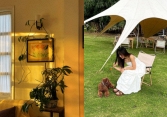 Bỏ phố về Đà Lạt mở homestay sau 1 năm phải đóng cửa: Doanh thu chỉ đủ trả tiền thuê nhà, mất trắng 400 triệu