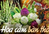 Loại hoa nào nên bày trên bàn thờ ngày Tết giúp thu hút tài lộc? Hoa cắm số chẵn hay số lẻ mới đúng?