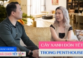 Sát Tết xem talkshow “chữa nhà”: Hà Linh Nghiện nhà cùng KTS bàn cách chơi cây cực nghệ trong penthouse, ai ở chung cư học nhanh còn kịp
