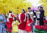 Ban Bí thư yêu cầu nhanh chóng đưa các hoạt động trở lại bình thường ngay sau nghỉ Tết