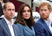 Harry ngỏ ý muốn tạm thời đảm nhận các nhiệm vụ hoàng gia cho đến khi Vua Charles bình phục, phản ứng của Vương thất Anh ra sao?