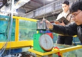 Khách hàng tố tiểu thương chợ hải sản 'cân điêu' bán giá cao, nhà chức trách cho người cải trang đi xác thực và cái kết 