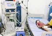 Sơn La: Bé gái 8 tuổi nguy kịch vì mẹ giã lá ngón vào nước ngọt cho uống