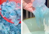 Con nuốc là con gì mà hôm nay lại xôn xao khắp MXH: Giá lên tới 200k/kg, từ món ăn độc lạ trở thành 'cơn sốt' ẩm thực
