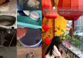Quán cà phê 'chữa lành' nổi tiếng nhưng 'lành ít dữ nhiều' ở TPHCM: Chuột chạy tung tăng trong bếp, đồ ăn có dòi vẫn dùng... cho tiết kiệm?