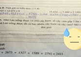 Bài toán lớp 3 khiến ông bố thừa nhận 'không đủ trình độ để giải', netizen đọc xong cũng giơ tay xin hàng