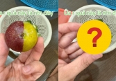 Quả mận 'đột biến' với 2 nửa 2 màu khác hoàn toàn khiến dân mạng ngỡ ngàng, càng bất ngờ hơn khi nhìn bên trong ruột