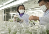 Nghiên cứu và phát triển cây trồng thông qua bảo hộ quyền sở hữu trí tuệ