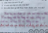 Học sinh tiểu học viết 2 câu về ước mơ khiến cô giáo phải phê 'rất thú vị', cư dân mạng ào ào vào 'xin vía'