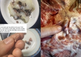 Giật mình mẩu thịt lợn lạ lẫn trong bánh giò: Rẻ cũng tuyệt đối không ăn, nhiều tiểu thương ham lợi vẫn bất chấp