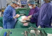 Thanh niên 23 tuổi tự lấy kéo cắt cụt 'cậu nhỏ' của mình do hoang tưởng, ảo giác