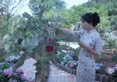 Lý Tử Thất 'xả' video liên tục sau khi trở lại, netizen vỡ oà vì những gì được thấy sau 3 năm chờ đợi 
