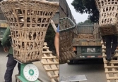 Người đàn ông cõng gùi sắn 160kg vẫn leo lên thùng xe tải thoăn thoắt: “Gánh trên lưng cả gia đình phải khác”