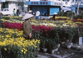 Gia Định – Sài Gòn, Tết xưa và nay