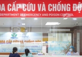 Bé trai 6 tuổi tử vong sau uống mật cá trắm chữa bệnh