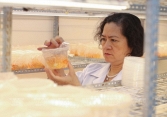 GS.TS Lê Mai Hương và những sáng chế bảo vệ sức khỏe người Việt