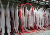 Thịt heo bệnh vào Fresh Shop C.P: Phạt 105 triệu là đủ răn đe?