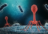 Israel phát triển thành công vaccine mRNA đầu tiên chống vi khuẩn kháng thuốc