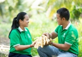 Bỏ phố về quê, đôi vợ chồng trẻ chinh phục thị trường thế giới bằng mật dừa