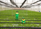 WinEco 10 năm kiên định với mô hình tiên phong nông nghiệp công nghệ cao