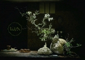 Triển lãm Ikebana Hà Nội lần thứ VIII-“Tương giao”: Một cuộc đối thoại dịu dàng giữa con người và thiên nhiên