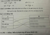 Xem bài tập tiếng Việt của con, bà mẹ Đà Nẵng bật cười: Nuôi hết cơm gạo, con tả mẹ như thế này đây!