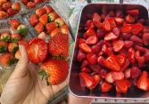 1 loại quả ngon 'đang mùa rộ' và giá rẻ, nhưng nên thận trọng khi dùng để tránh thuốc trừ sâu