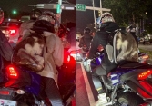 Người đàn ông nhét Husky vào balo cho thú cưng khiến CĐM phẫn nộ, có thể bị phạt tới hơn 57 triệu vì ngược đãi động vật