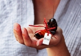 Dịch vụ tặng quà đặc biệt vào Valentine gây sốt tại Mỹ: Dân mạng thi nhau mua làm quà tặng người cũ
