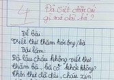 Bài văn đang gây bão mạng: Viết thư hỏi thăm bà nhưng bà chưa kịp đọc đã hết, được 4 điểm không oan chút nào