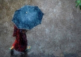 Xin nhau thuốc tẩy não