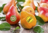 Nhận biết thực phẩm biến đổi gene