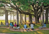 Một chuyến đến Auroville thiên đường trần thế