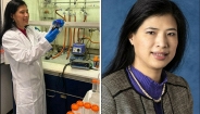 GS Nguyễn Thị Kim Thanh: Nhà khoa học gốc Việt mở hướng ứng dụng hạt nano trong điều trị ung thư