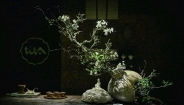 Triển lãm Ikebana Hà Nội lần thứ VIII-“Tương giao”: Một cuộc đối thoại dịu dàng giữa con người và thiên nhiên