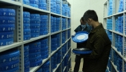 Sưu tầm và Lưu chiểu phim: Những thách thức cần có thêm lời giải