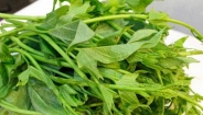 5 loại rau 'ít thuốc, siêu lành': Giá rẻ nhất chợ Việt, không mua quá phí