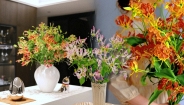 Hoa ngót nghẻo đẹp mê như bó lửa đỏ nhưng cực độc: Mẹ nào mê cắm Tết nhớ đọc kỹ trước khi mua