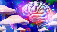 Chất gây ảo giác Psilocybin mở ra hy vọng mới trong điều trị trầm cảm