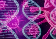 Giải mã “gen ẩn” của virus bạch cầu, hé lộ hướng mới trong điều trị HIV