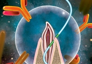 Nghiên cứu “tiêm” vaccine bằng chỉ nha khoa