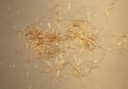 Hàn Quốc tái sinh vải vàng huyền thoại từ phế phẩm loài sò